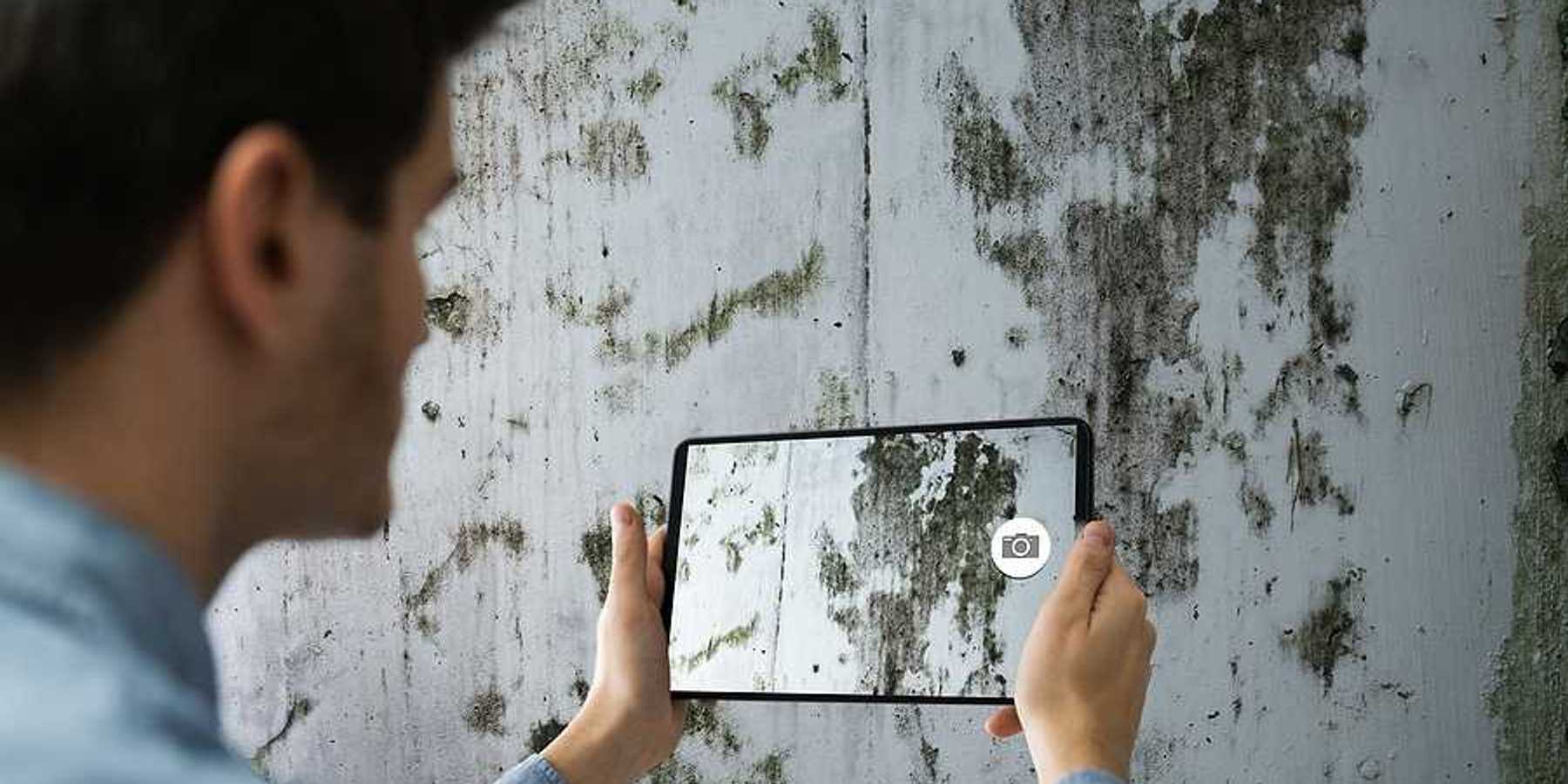 A man taking a photo of a wall covered in mold