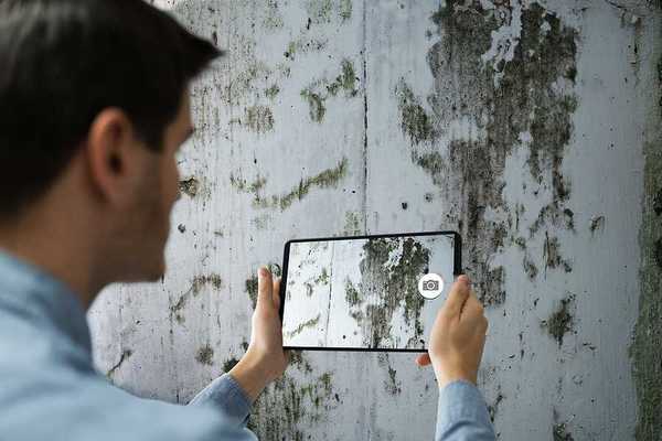 A man taking a photo of a wall covered in mold