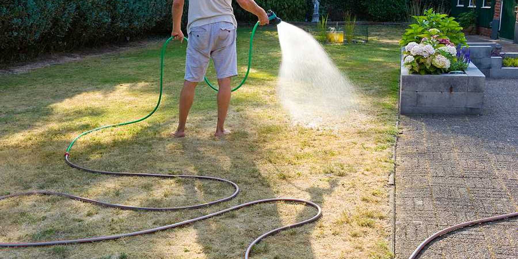 A man using a hose to water a lawn