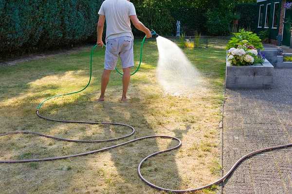 A man using a hose to water a lawn