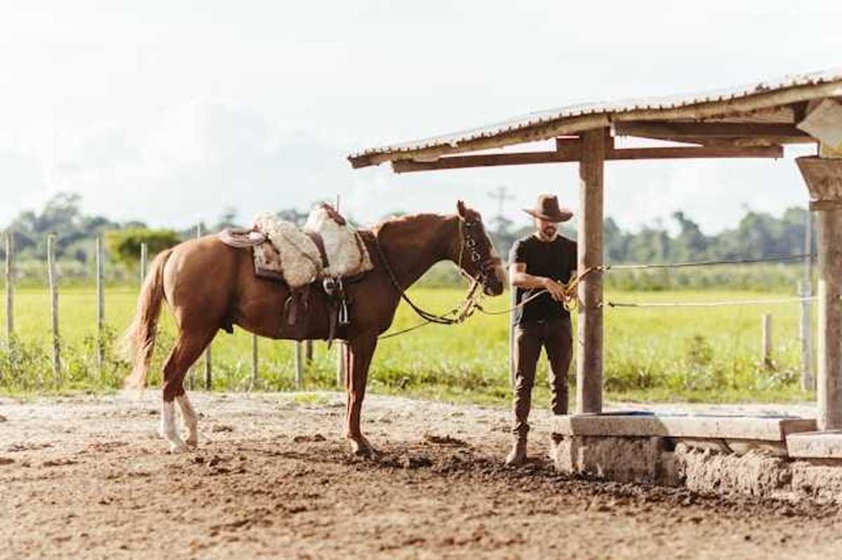 A man wearing a cowboy hat standing next to a horse with green fields in the background