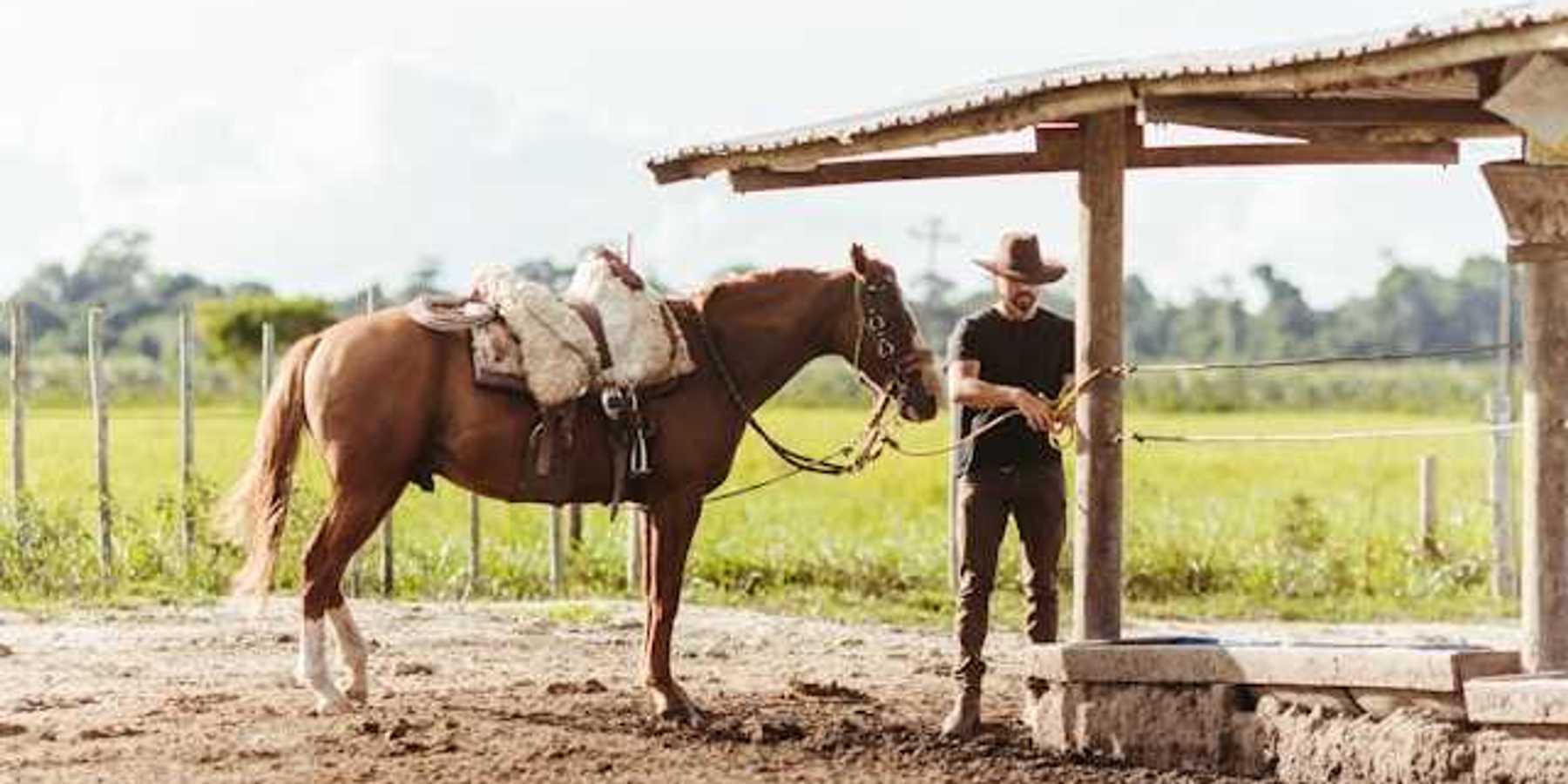 A man wearing a cowboy hat standing next to a horse with green fields in the background