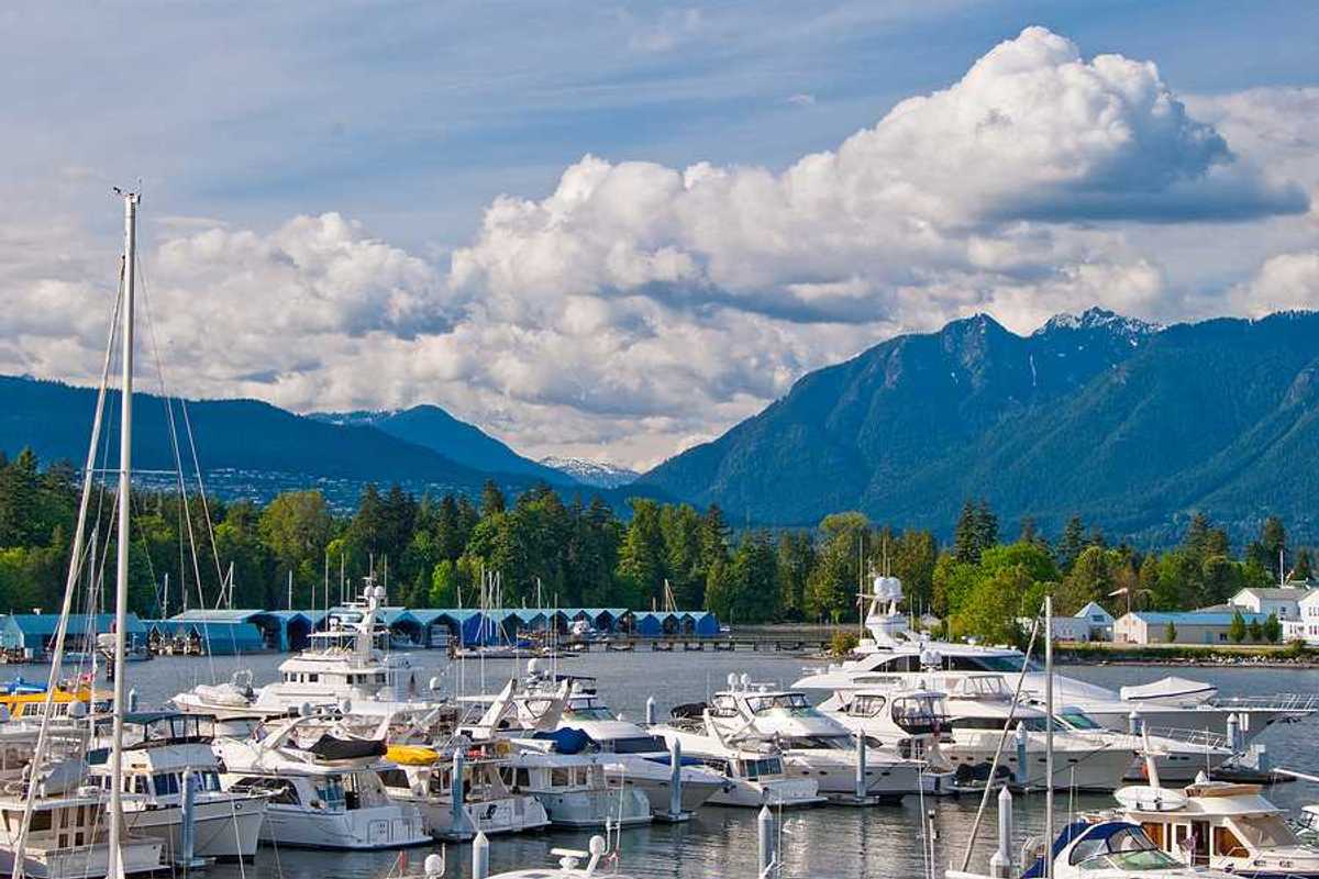 A marina with boats and a forest and mountains in the background
