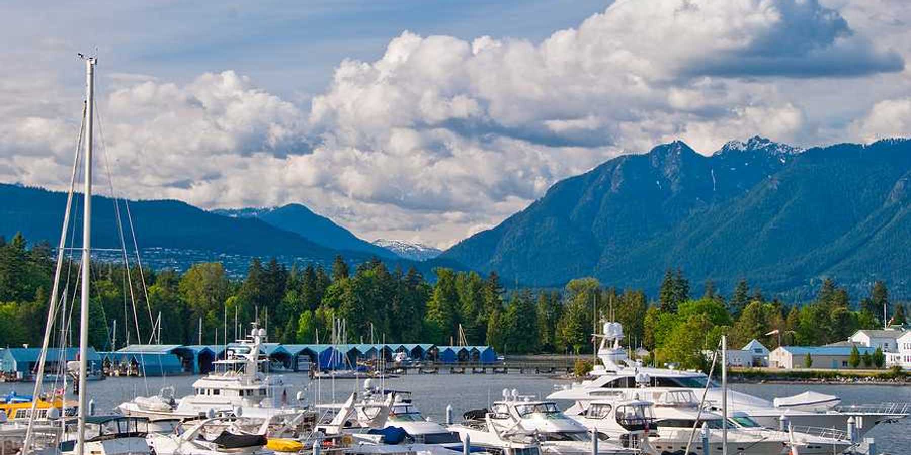 A marina with boats and a forest and mountains in the background