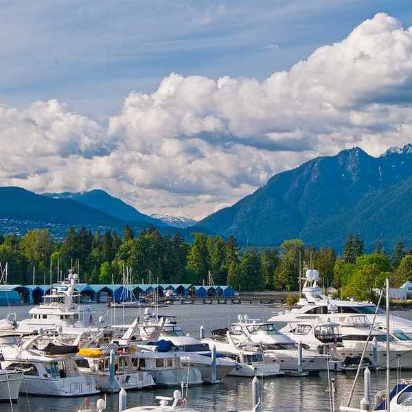 A marina with boats and a forest and mountains in the background