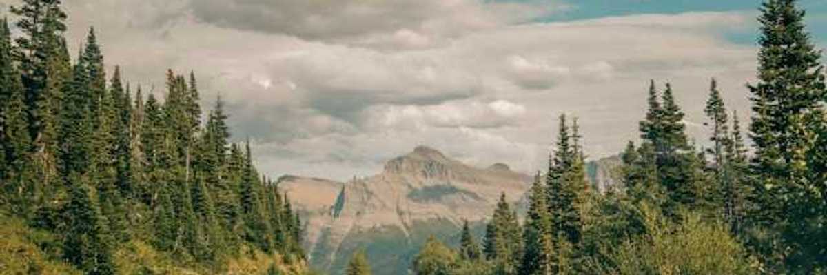 A mountain highway winding through a forest toward mountains in the background