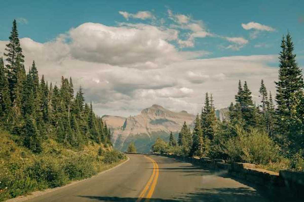 A mountain highway winding through a forest toward mountains in the background