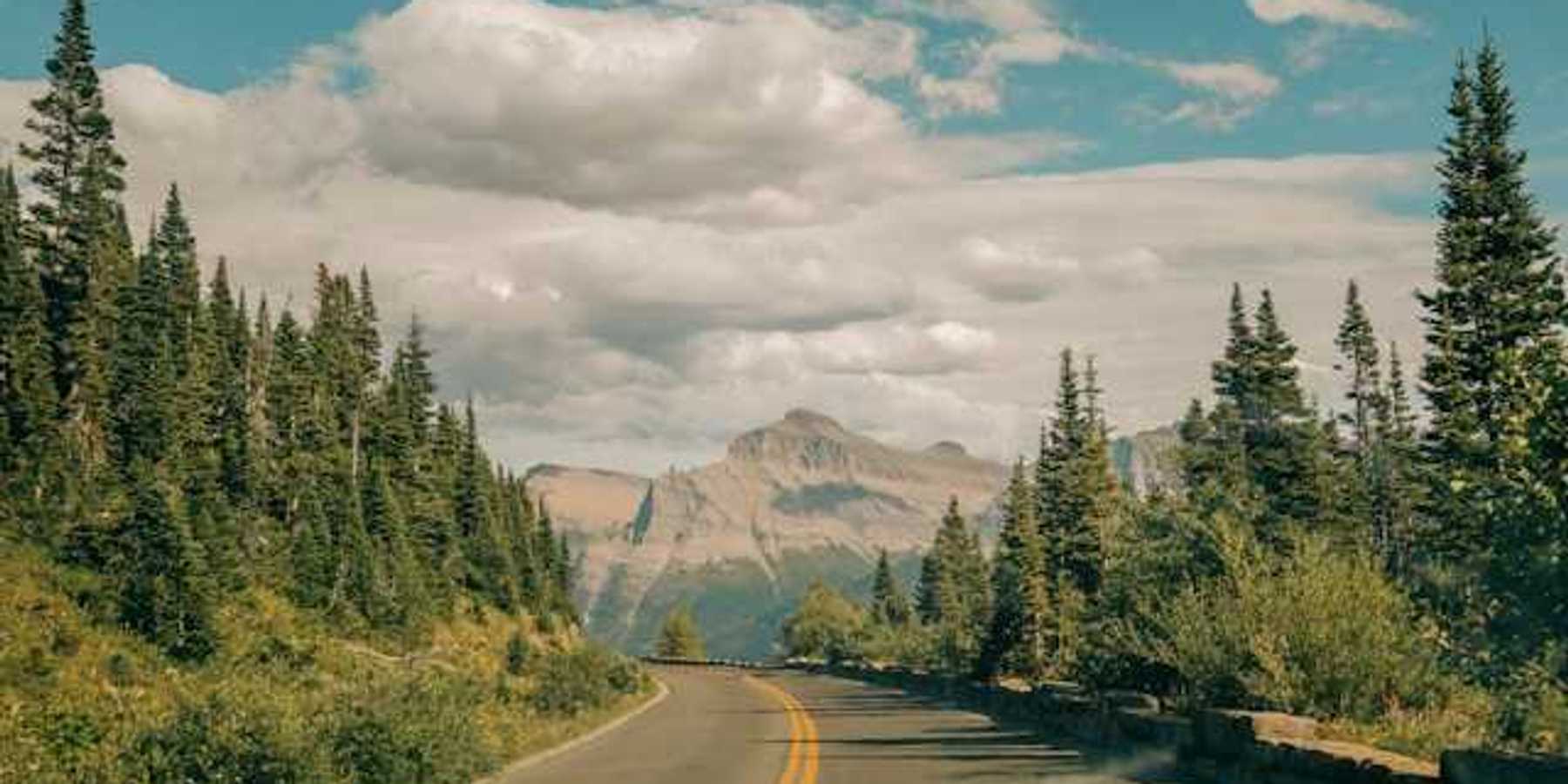 A mountain highway winding through a forest toward mountains in the background