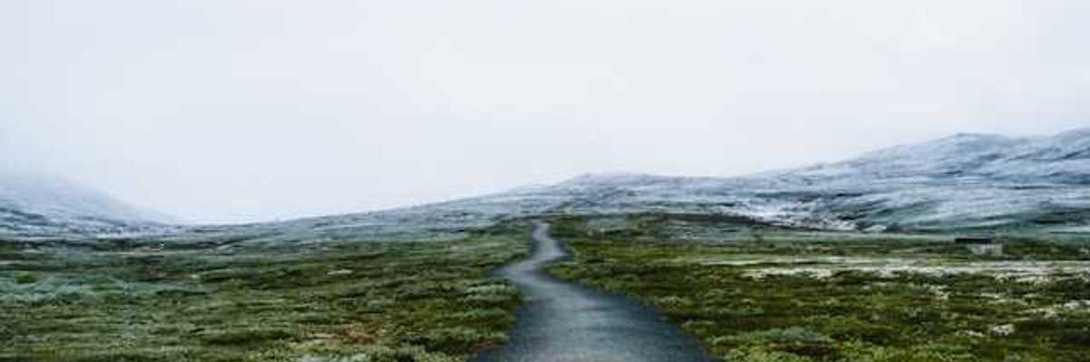 A path through low bushes with snowy hills in the background
