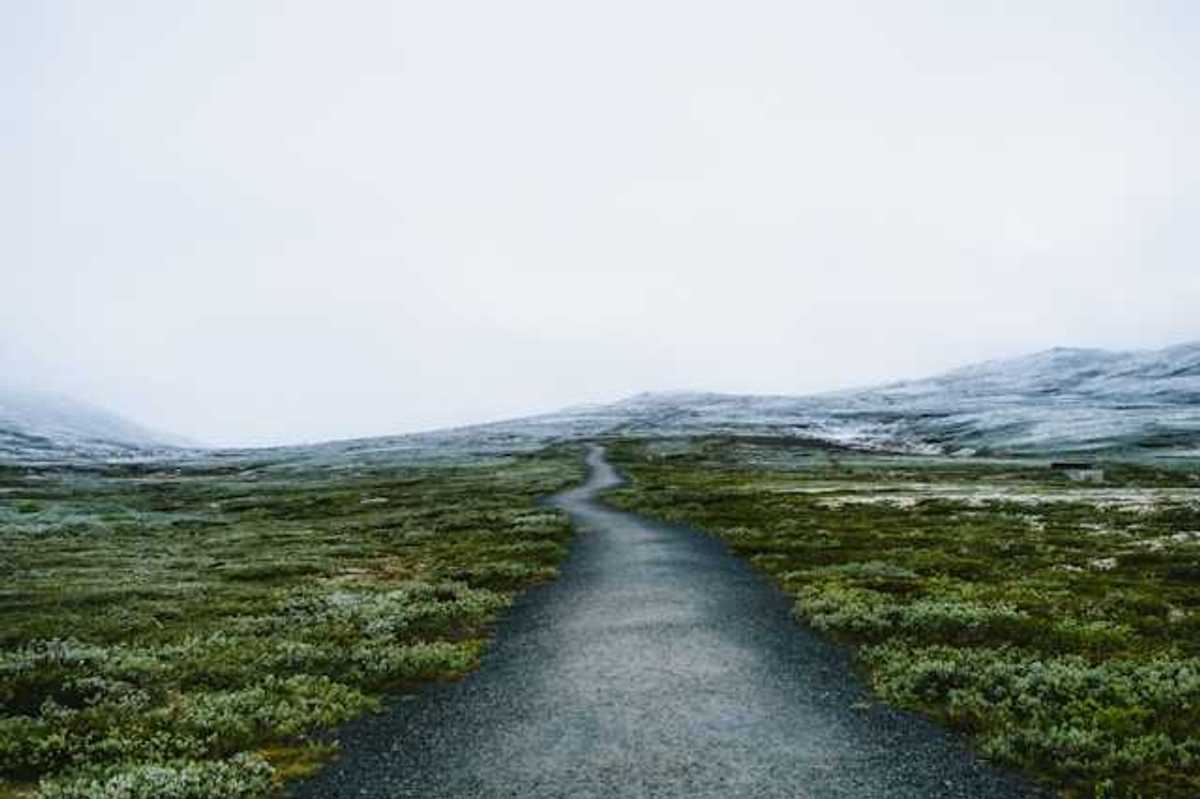 A path through low bushes with snowy hills in the background