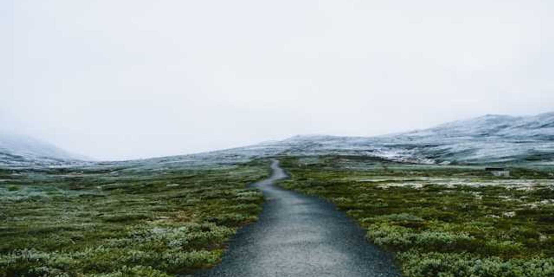 A path through low bushes with snowy hills in the background