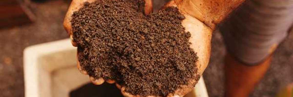 A person holding a pile of organic soil in his hands