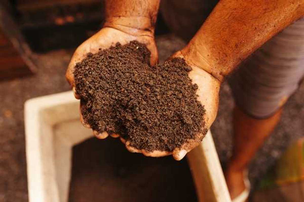 A person holding a pile of organic soil in his hands