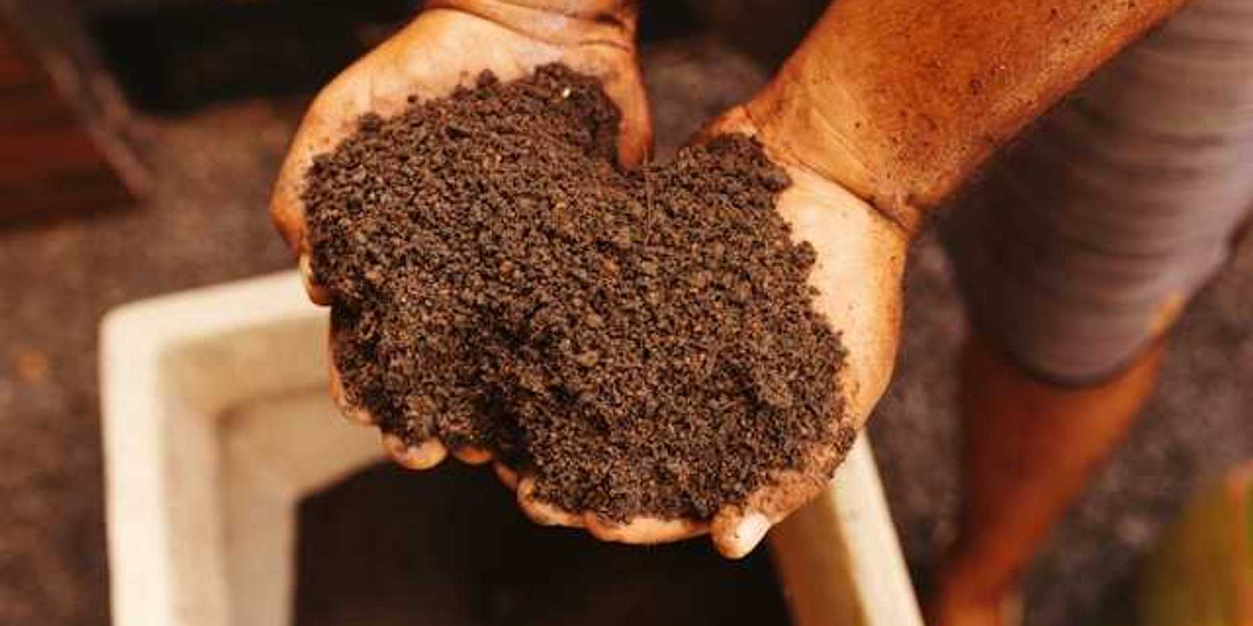 A person holding a pile of organic soil in his hands