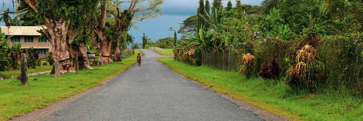 a person riding a bike down the middle of a road surrounded by tropical forest