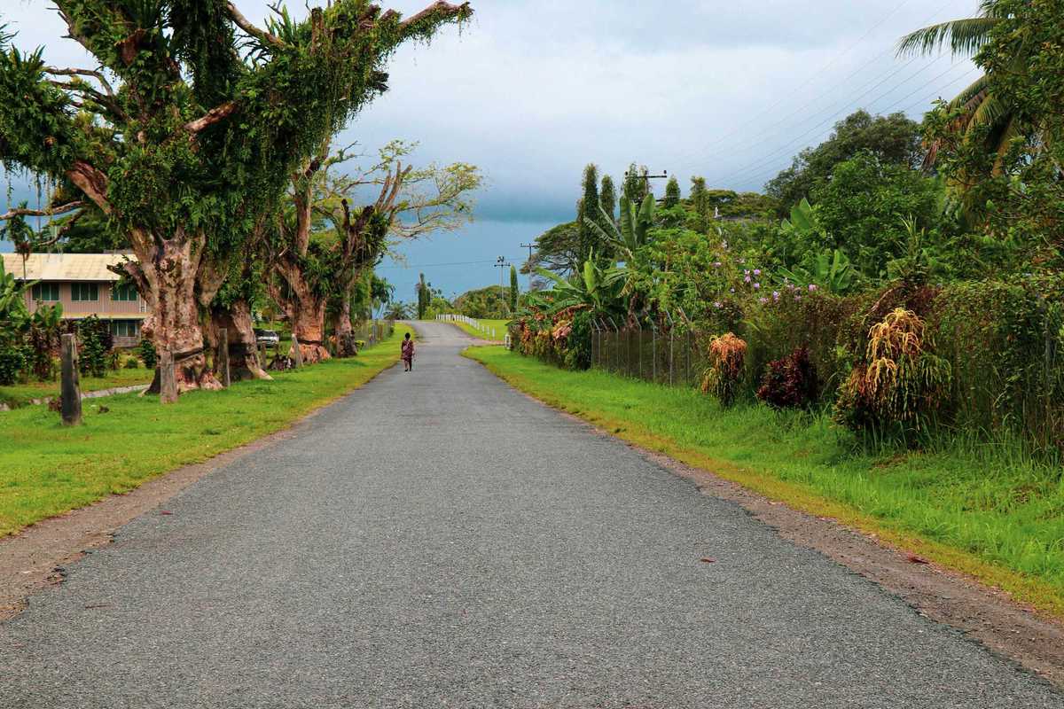 a person riding a bike down the middle of a road surrounded by tropical forest