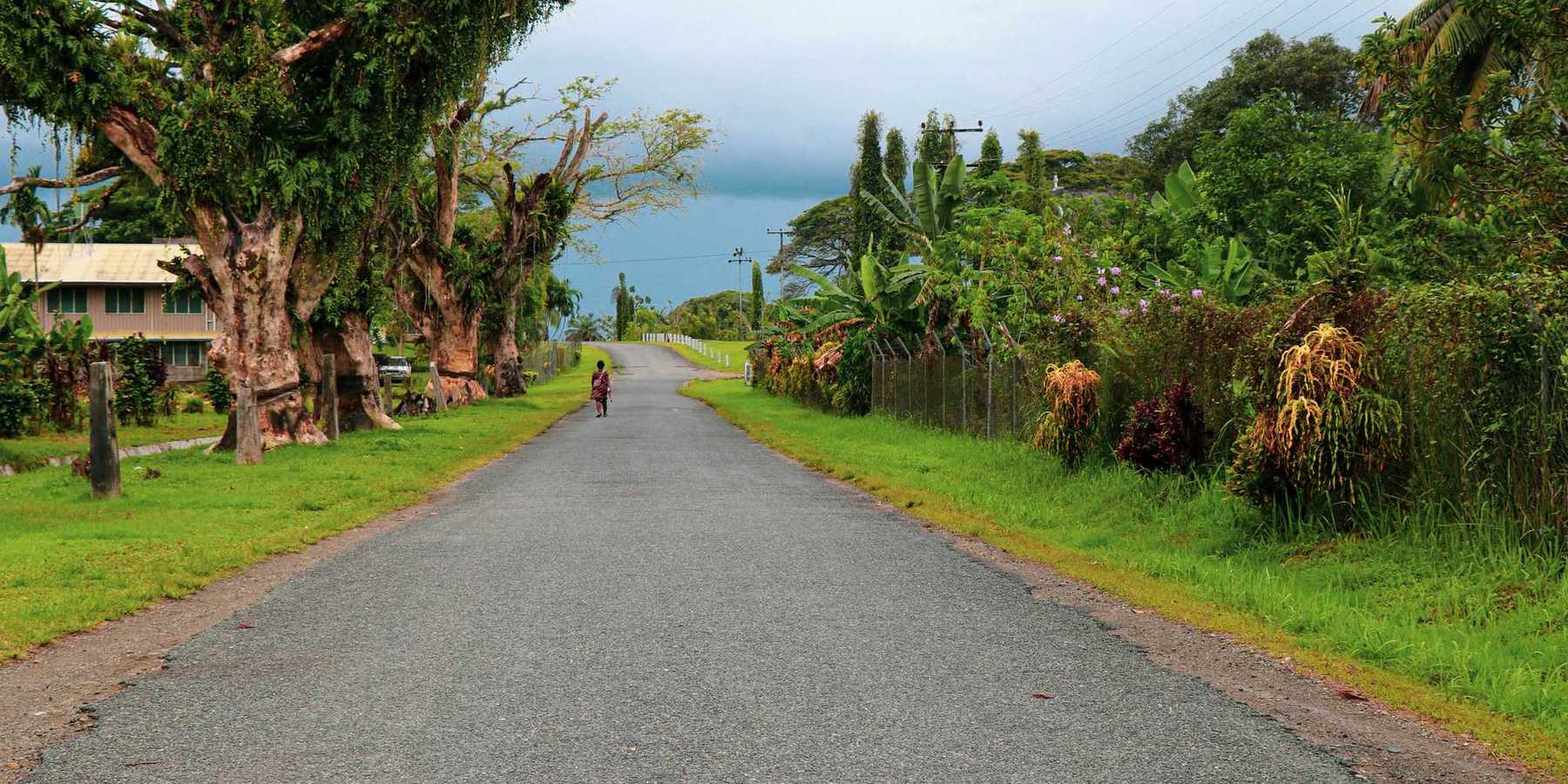 a person riding a bike down the middle of a road surrounded by tropical forest