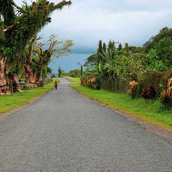 a person riding a bike down the middle of a road surrounded by tropical forest
