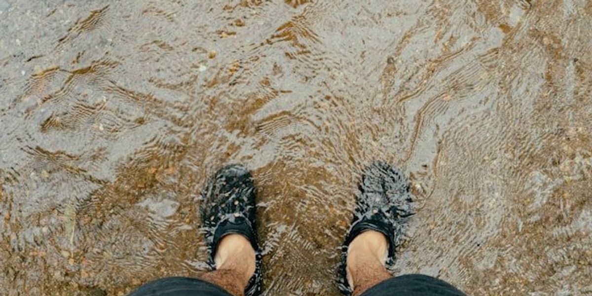 A person's legs with their feet standing in water.