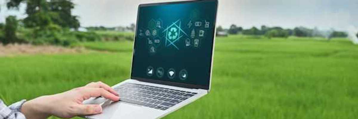 A person using a laptop in a green field