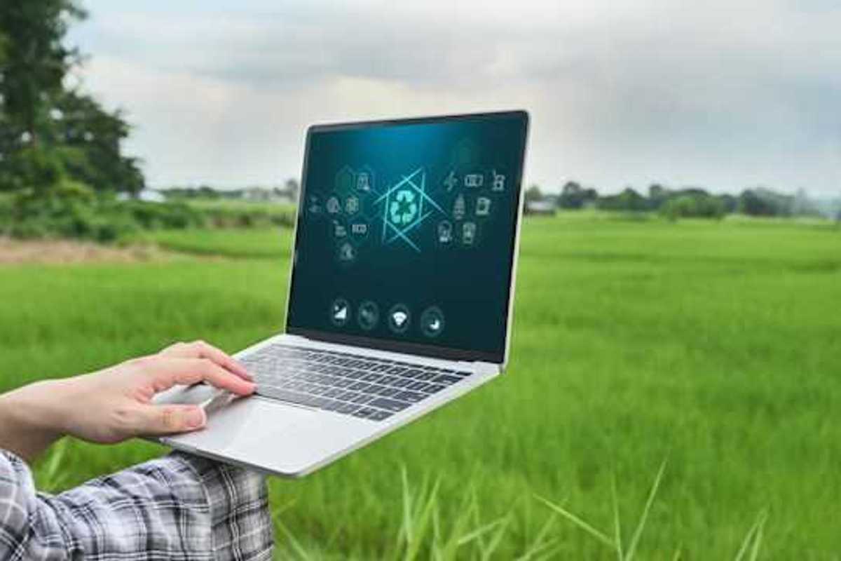 A person using a laptop in a green field