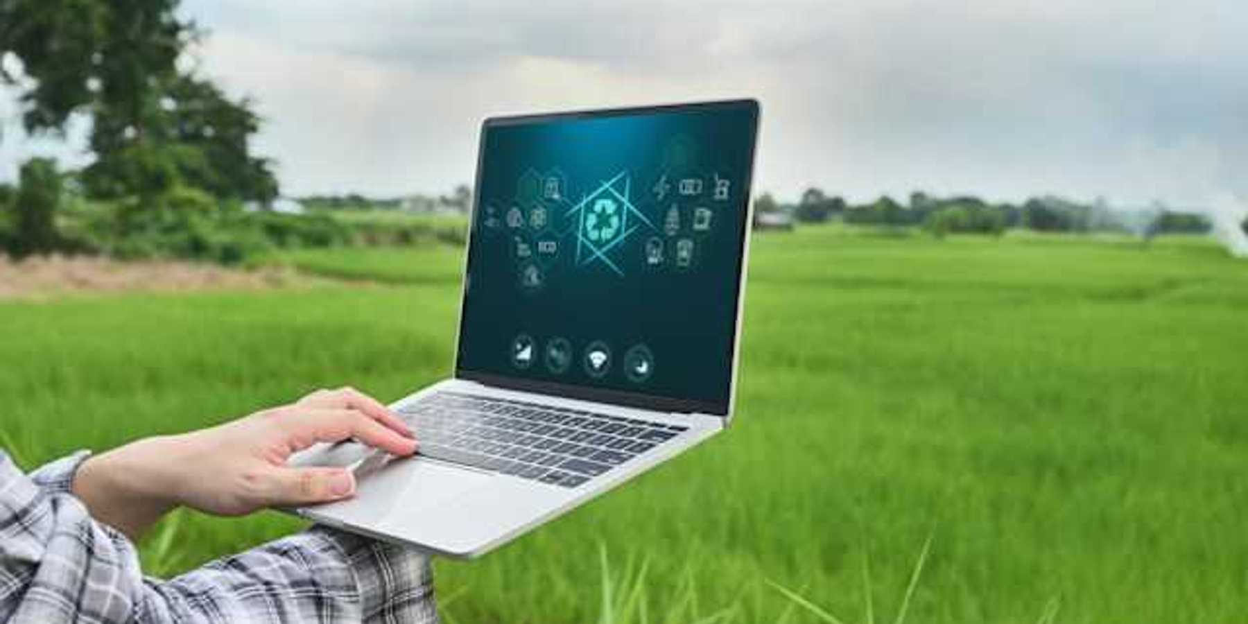 A person using a laptop in a green field