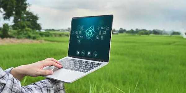 A person using a laptop in a green field