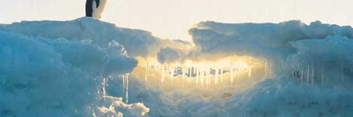 A pile of ice with the sun shining through it with a penguin standing at the top