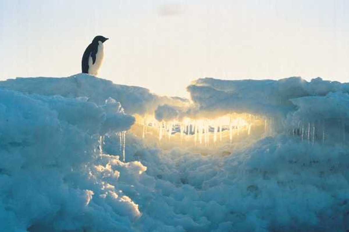 A pile of ice with the sun shining through it with a penguin standing at the top