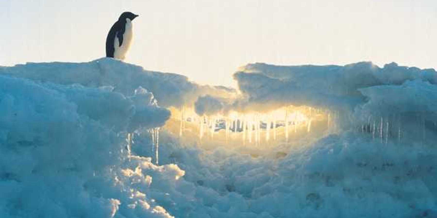 A pile of ice with the sun shining through it with a penguin standing at the top