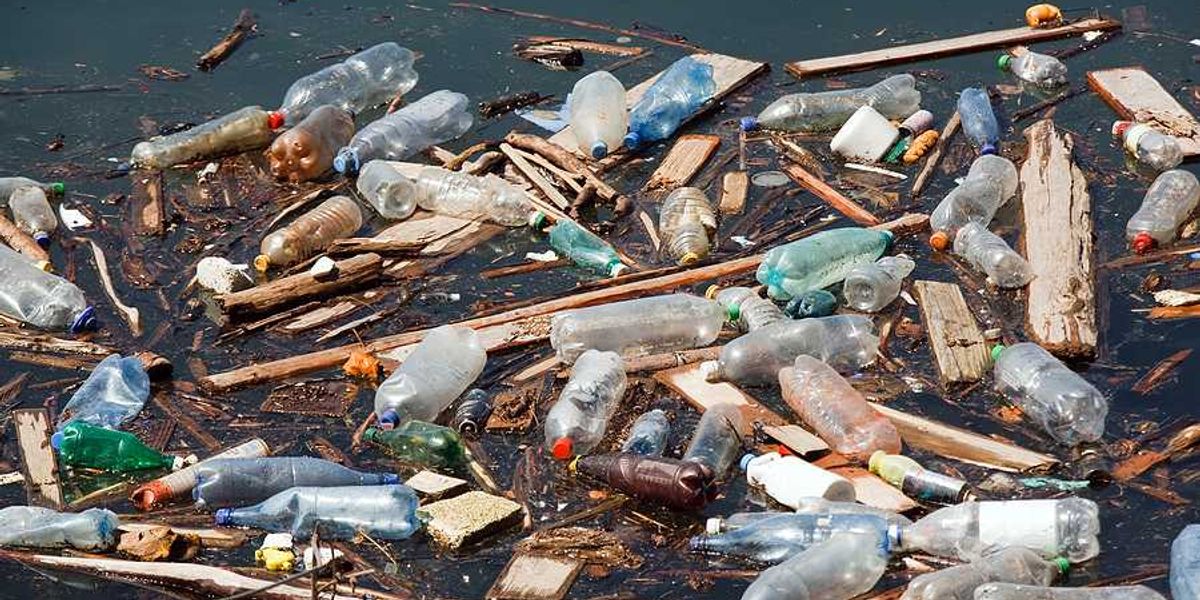 A pile of trash, including plastic bottles, floating in a water source