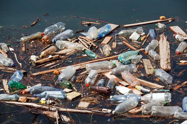 A pile of trash, including plastic bottles, floating in a water source