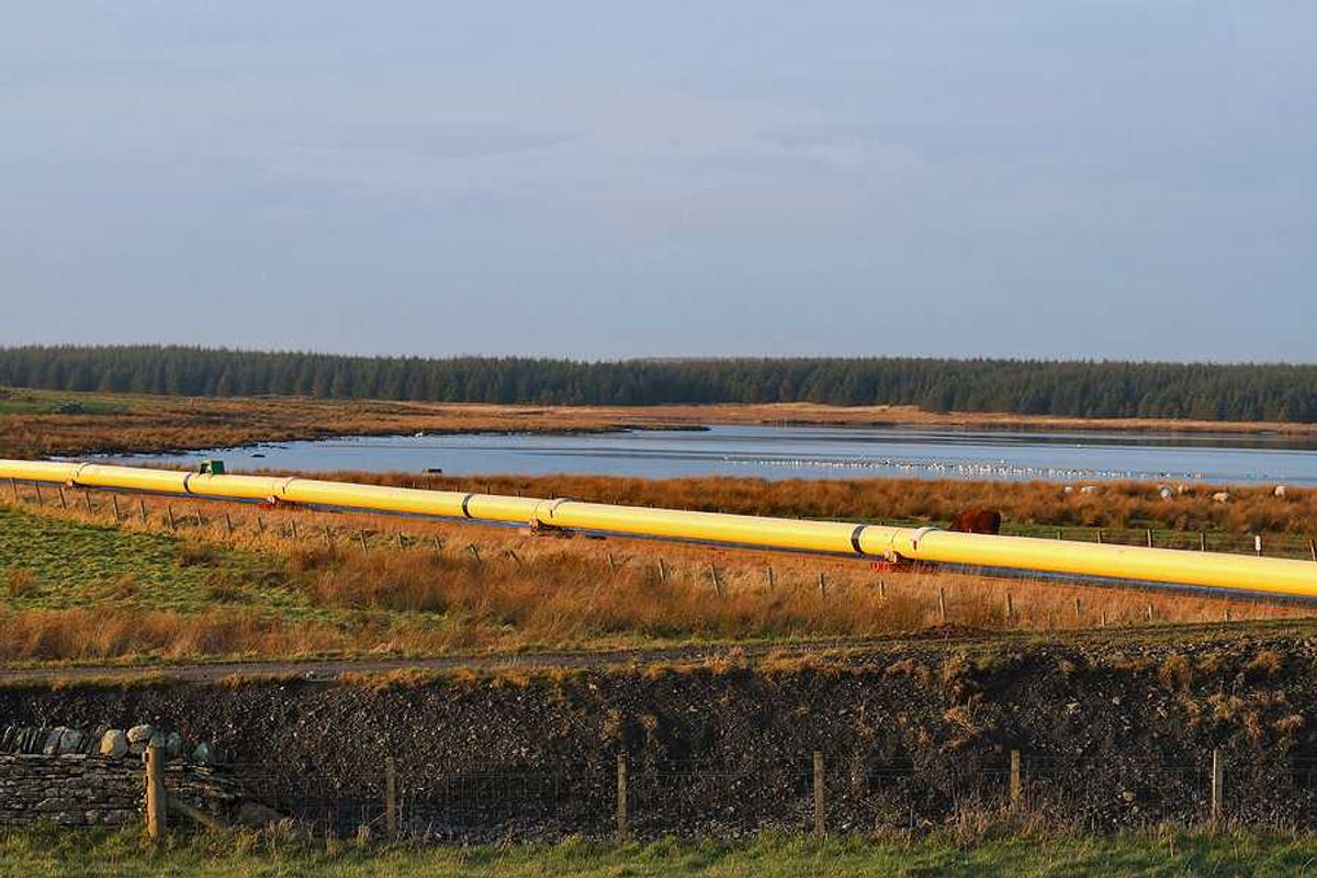 A pipeline stretching across a wetlands area with a lake in the background