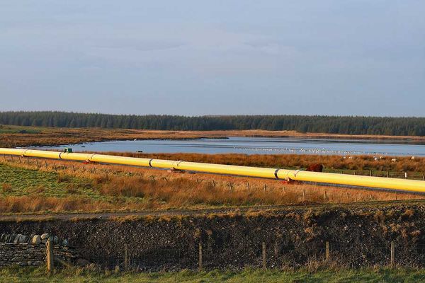 A pipeline stretching across a wetlands area with a lake in the background