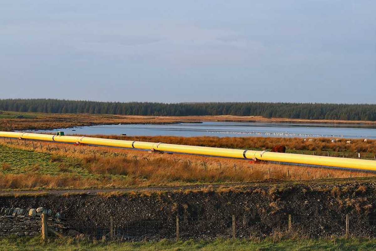 A pipeline stretching across a wetlands area