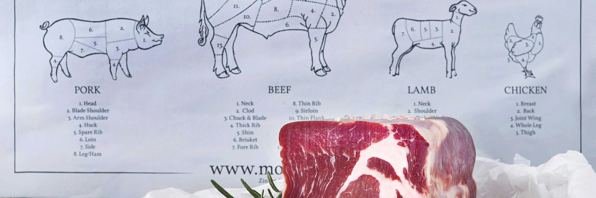 A poster that says All You Need is Meat with a plate of meat in front of it