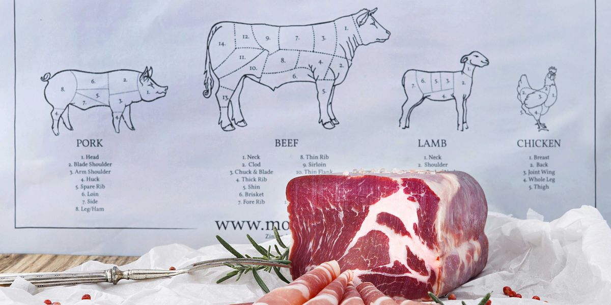 A poster that says All You Need is Meat with a plate of meat in front of it