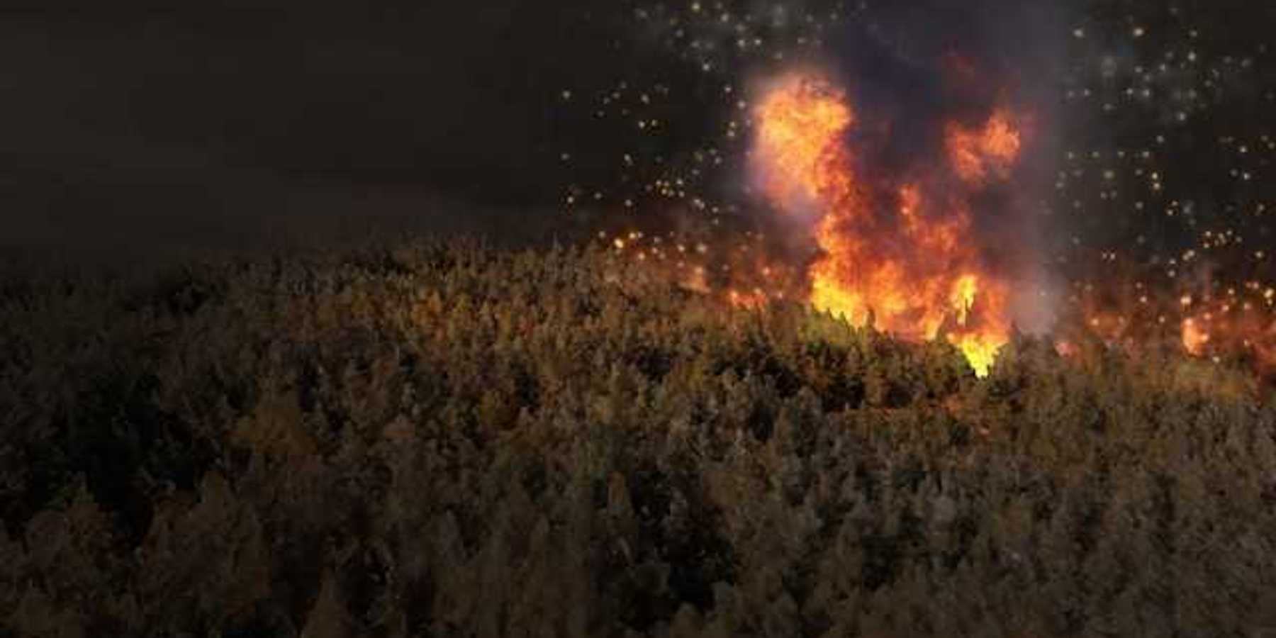 A rendering of a coniferous forest at night with a wildfire happening in the distance