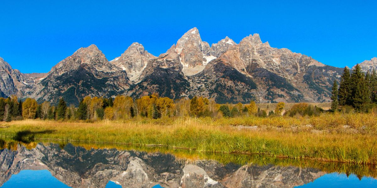 A river or pond with the reflection of green grasses and spectacular mountains in the distance.