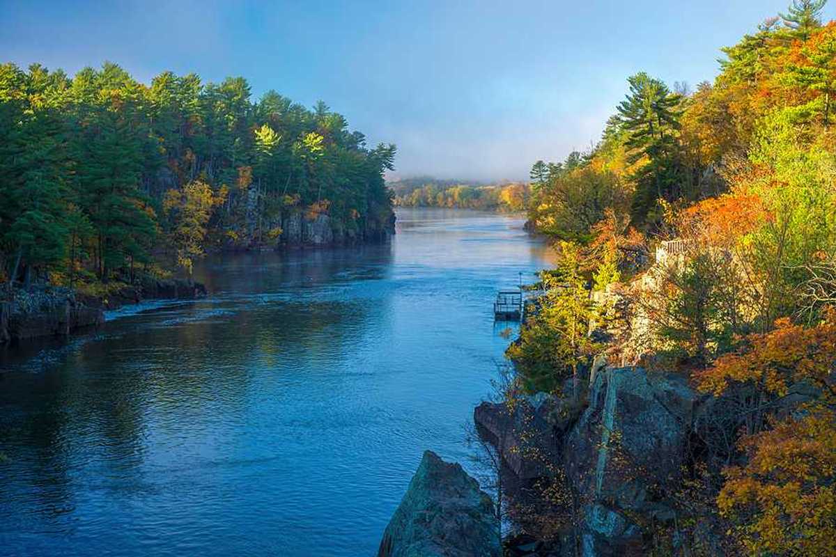 A river surrounded by a forest