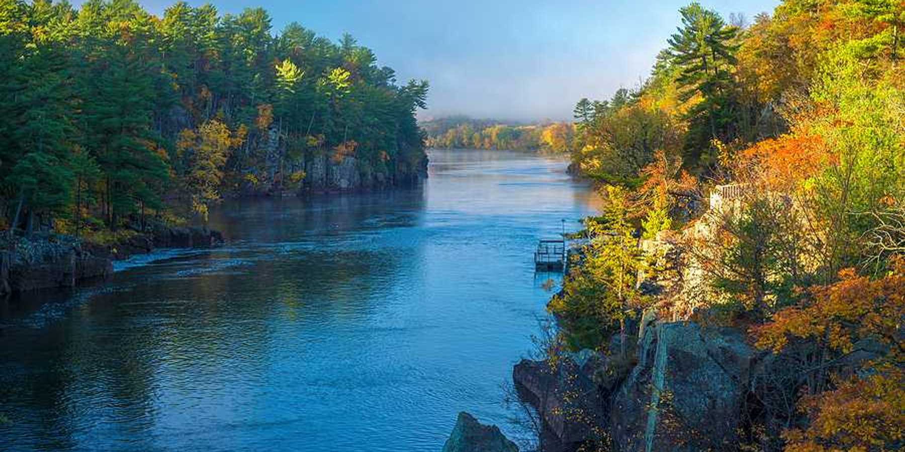 A river surrounded by a forest