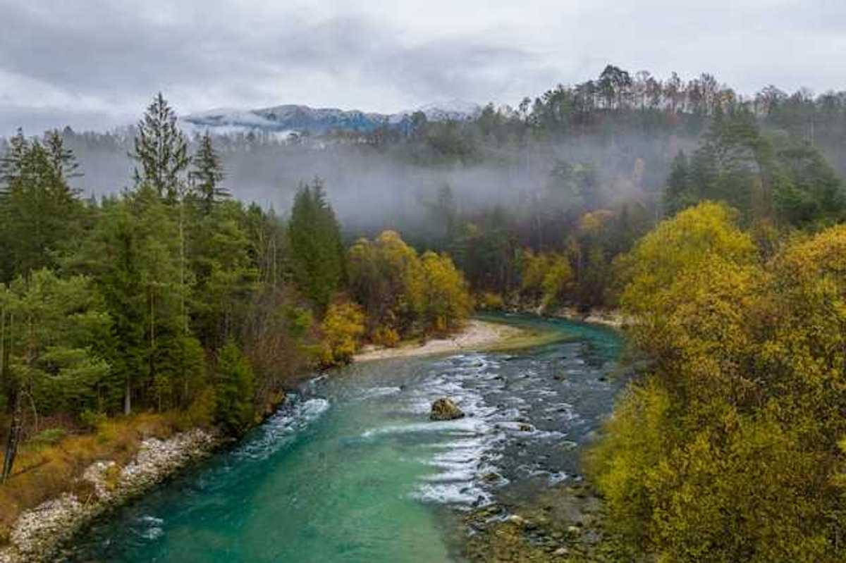 A river winding through a forested landscape