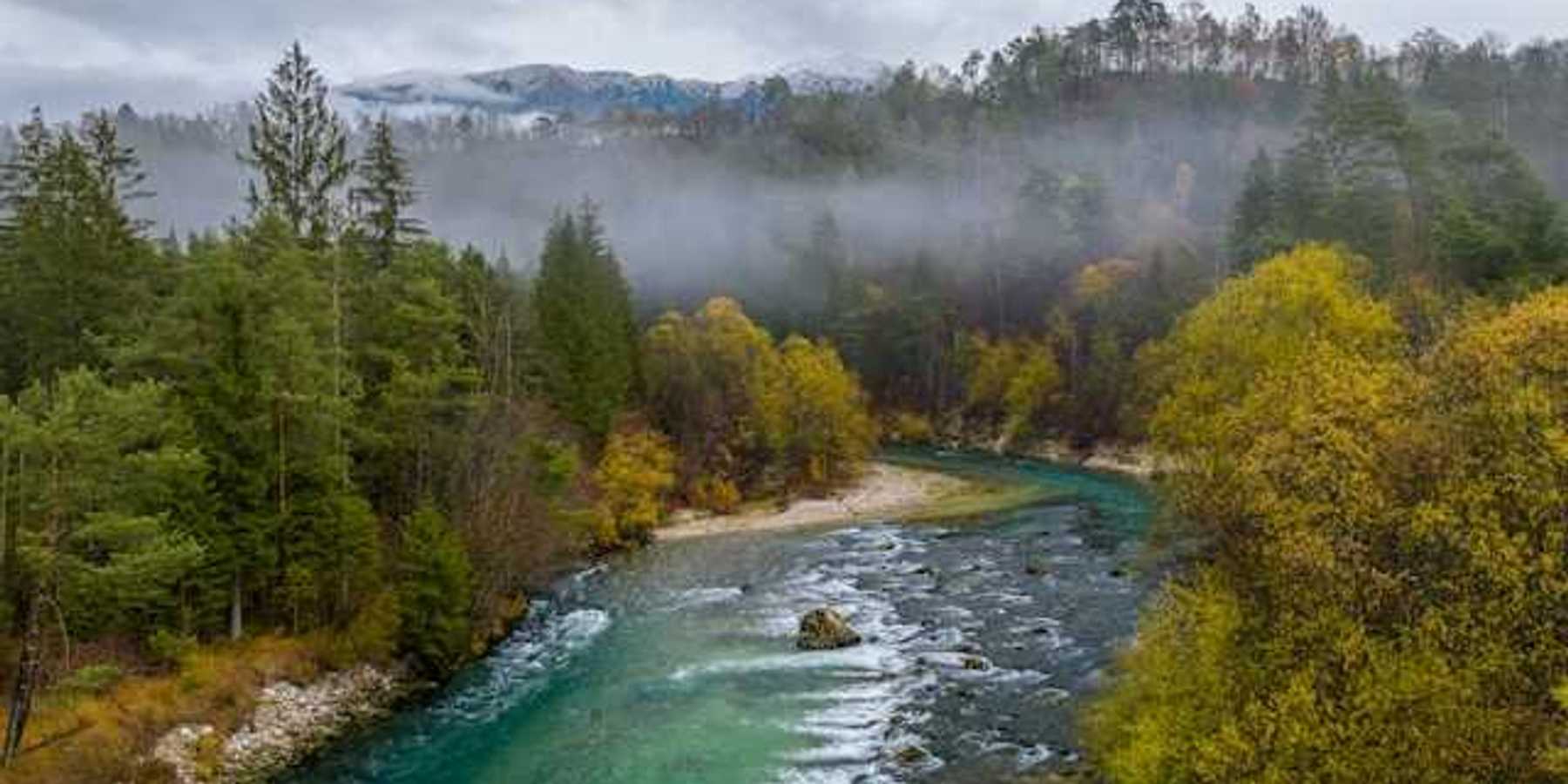 A river winding through a forested landscape