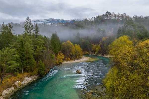 A river winding through a forested landscape