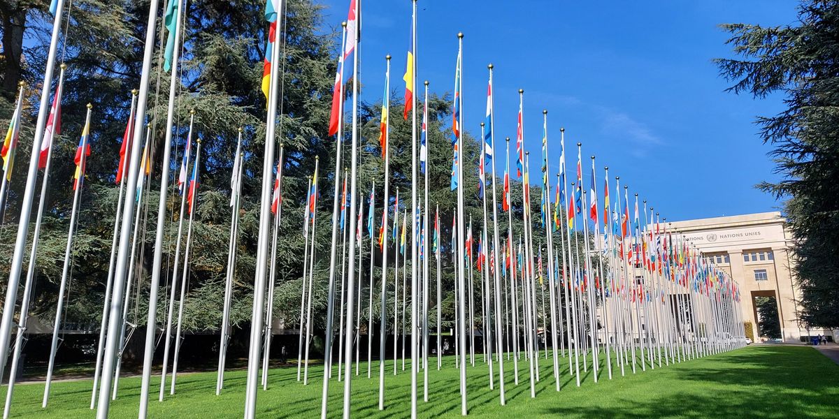 a row of flags in front of a building.