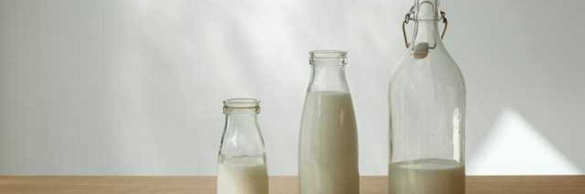 A row of glass jars with milk in them, with a sheaf of wheat in front of them