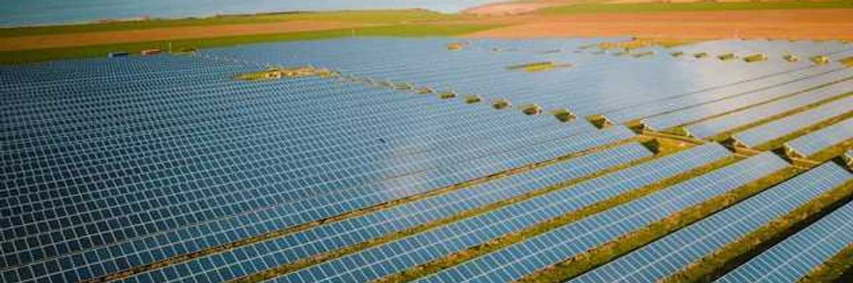 A row of solar panels atop green fields
