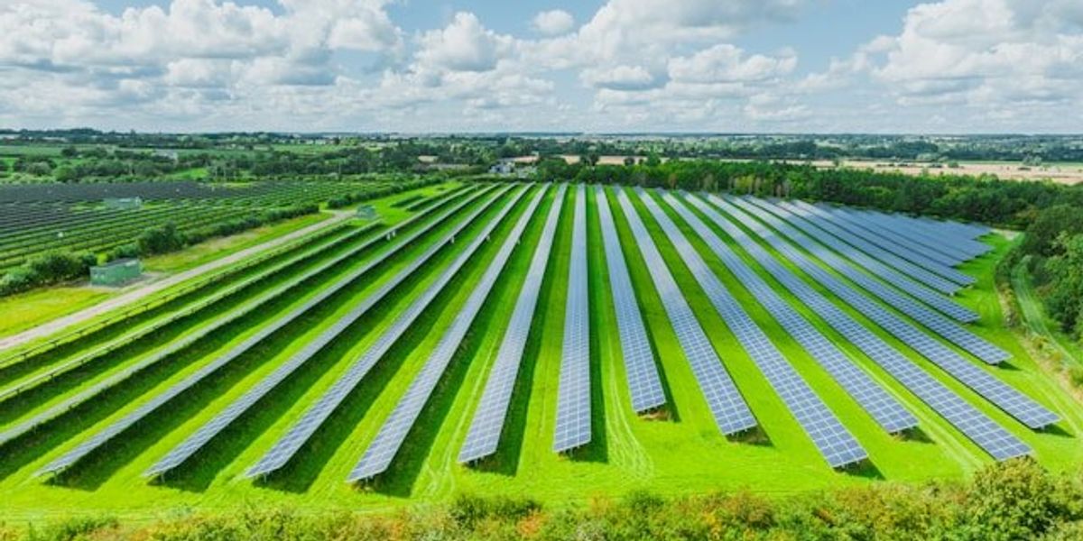A row of solar panels in a farm field