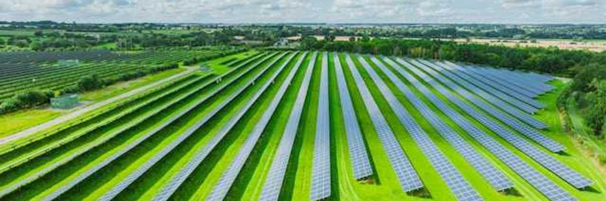 A row of solar panels located in a green field