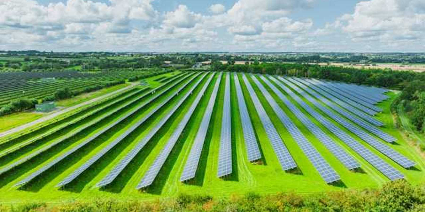A row of solar panels located in a green field